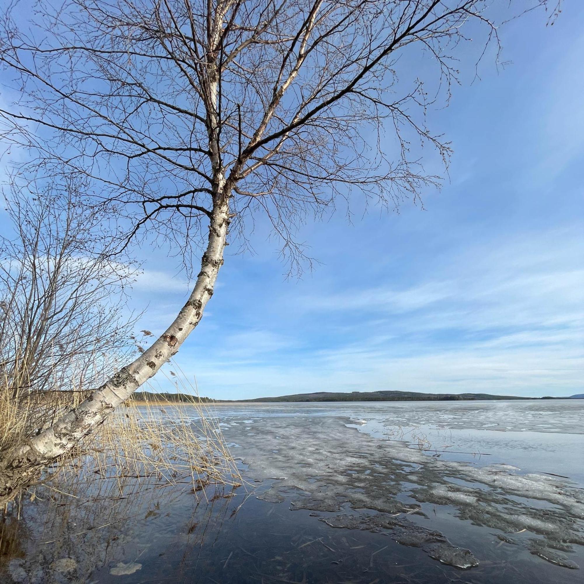 Hushotellhunge Ab Bräcke Exteriér fotografie